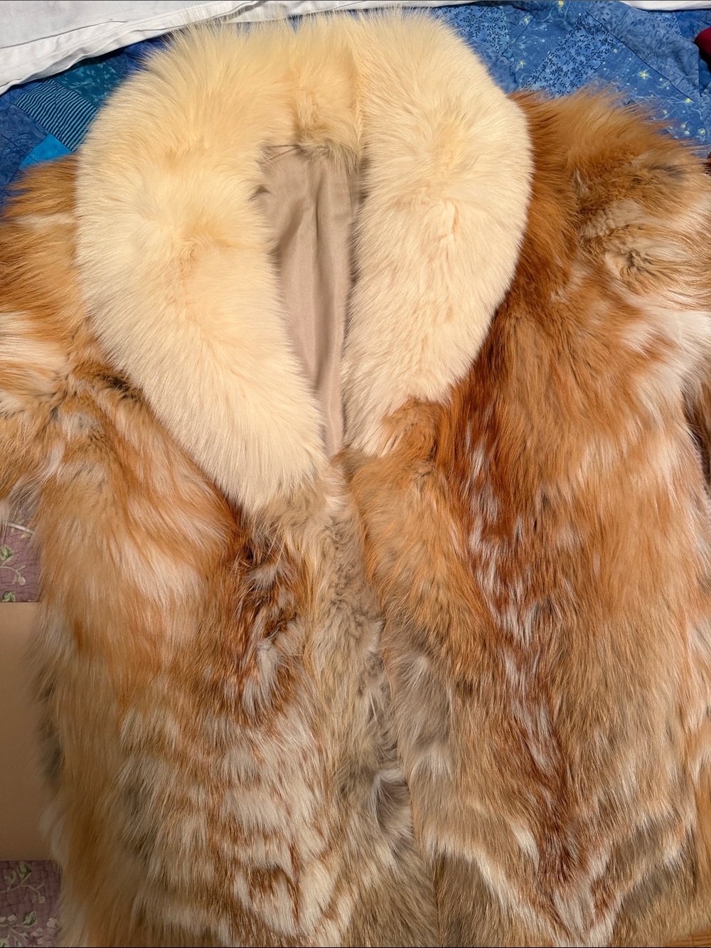 Luxurious Natural Red Fox Fur Coat with Cream Collar